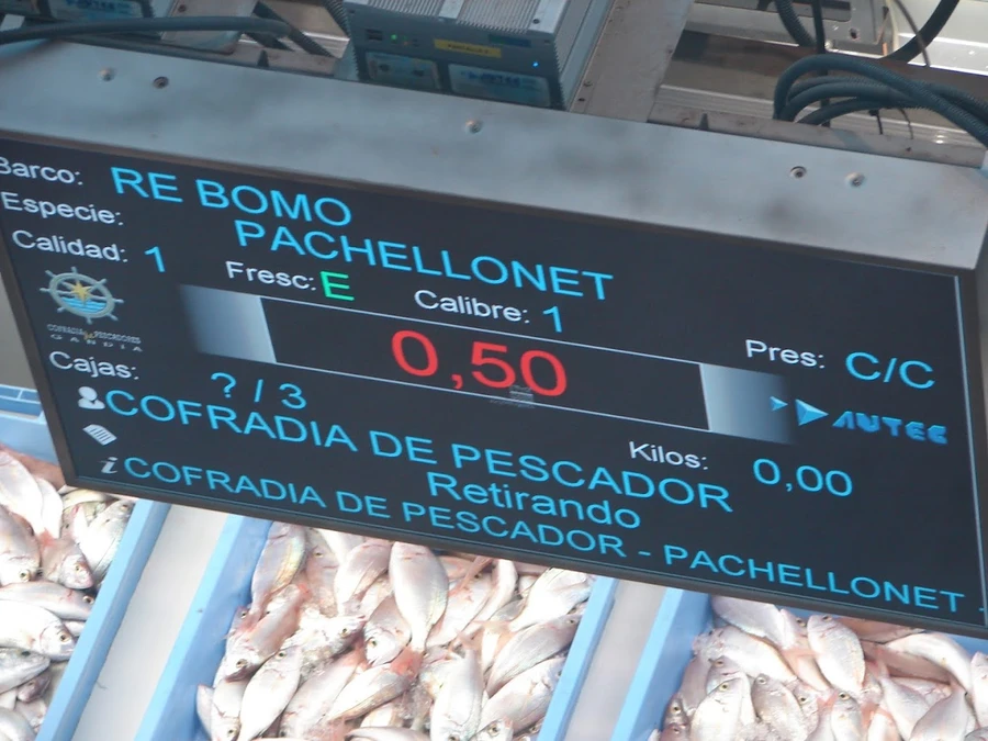 Lonja del Pescado gandia