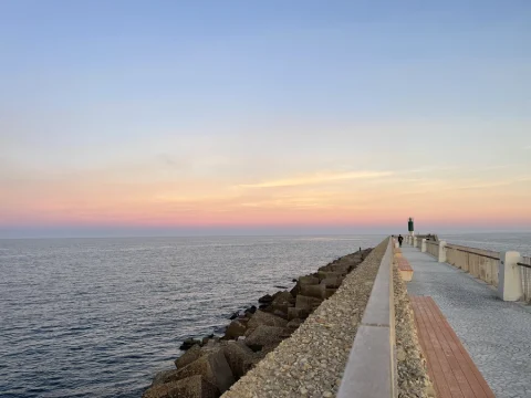 que ver en el puerto de gandia